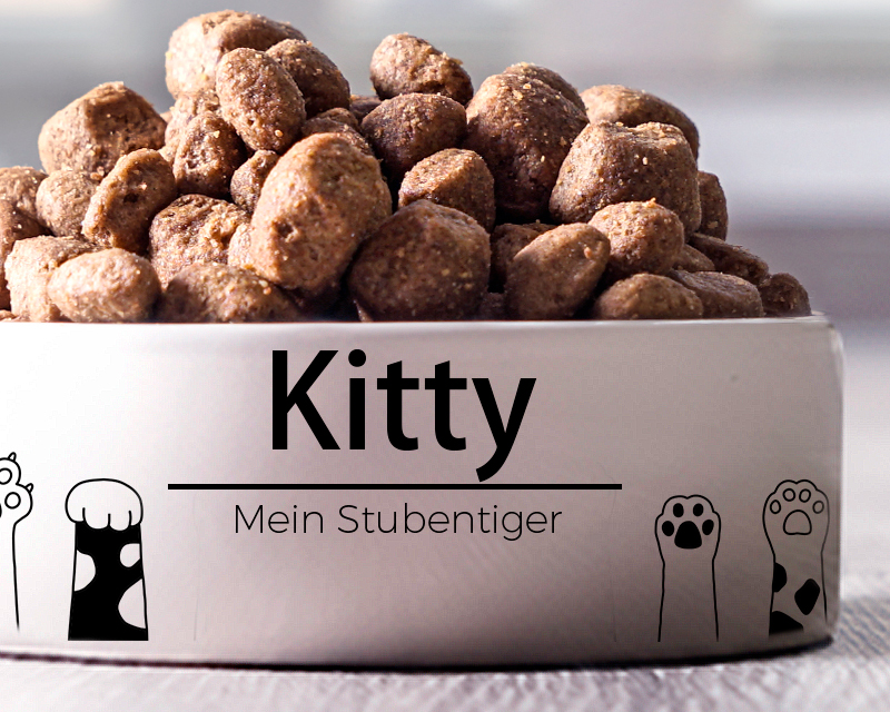 Gamelle pour chat Personnalisable - Pattes de chat
