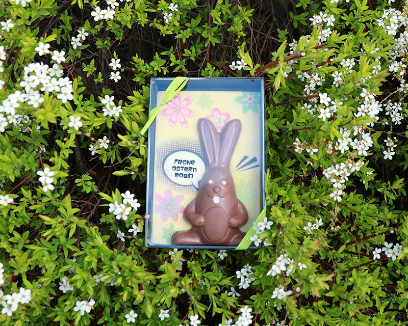 Frohe Ostern Robin